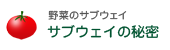 野菜のサブウェイ　サブウェイの秘密