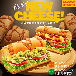 subway takeout